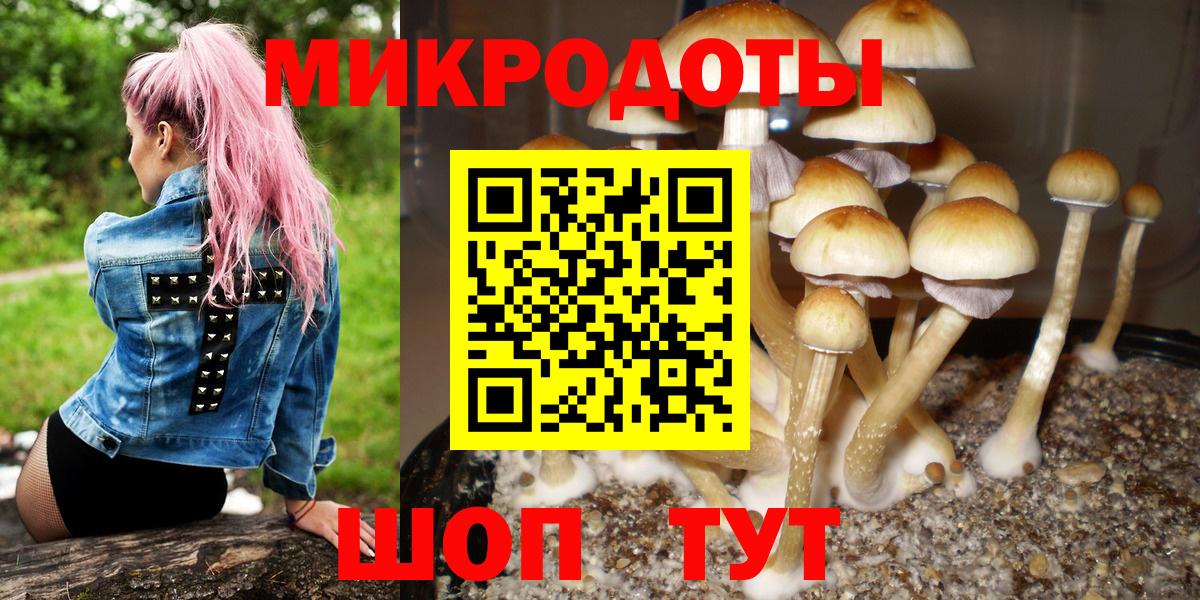 Галлюциногенные грибы ЛСД Петропавловск-Камчатский